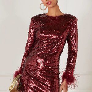 Small Wine Sequin Dress